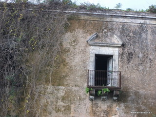 lazzo Riggio Carcaci-05-01-2016 09-58-01